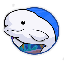 BELUGA
